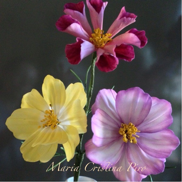 COSMOS fiore di zucchero