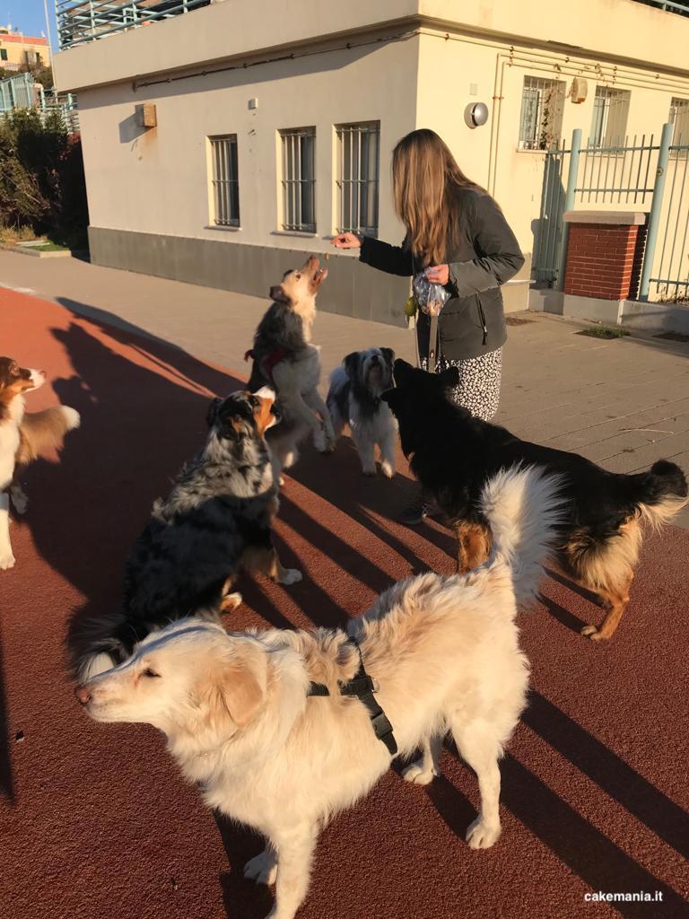 BISCOTTI PER CANI FATTI IN CASA - In cucina con Chiara