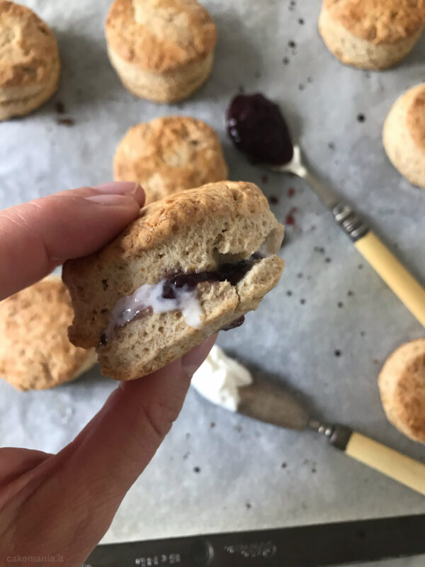 ricetta originale degli scone